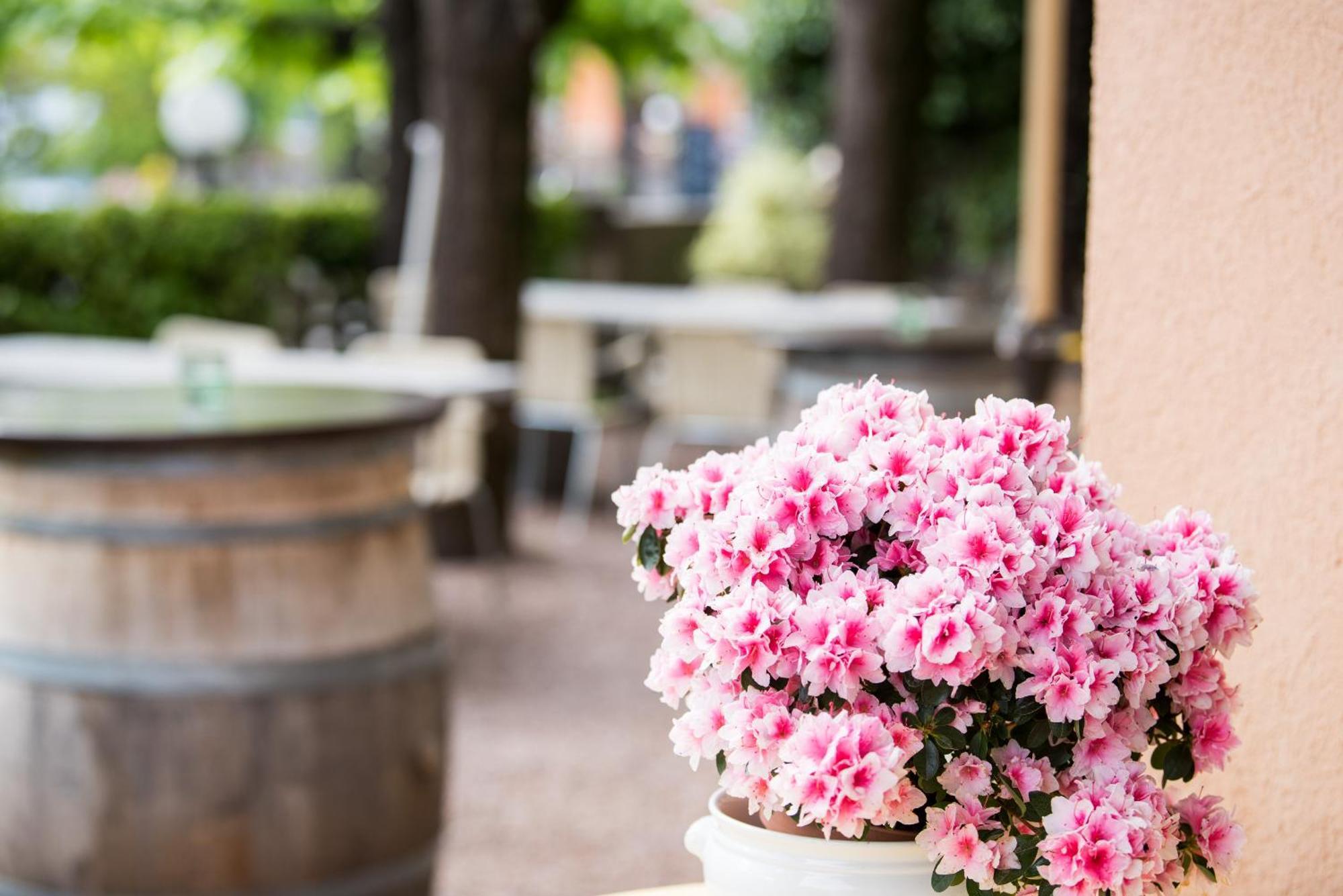 Albergo Hotel Tesserete Zewnętrze zdjęcie